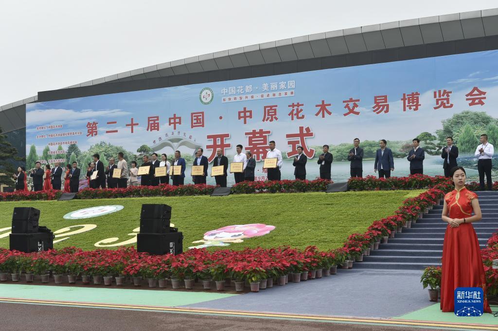 大宝lg游戏攻略
